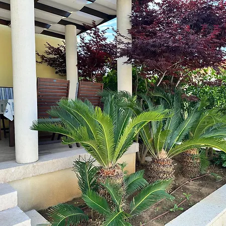 纳威甘特高级公寓 公寓 扎达尔