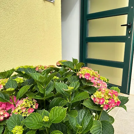 Apartman Navigantes Superior *