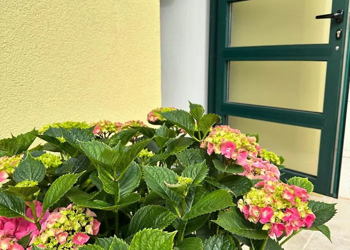 Apartment Navigantes Superior *